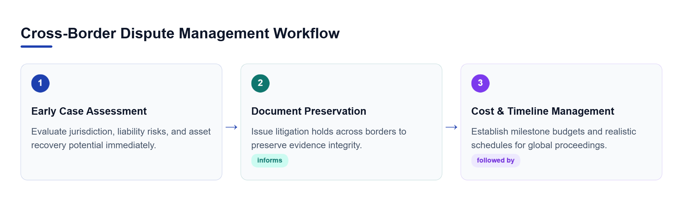 Diagram: Process flow outlining early case assessment, document preservation, and cost management steps in managing a cross-border dispute.