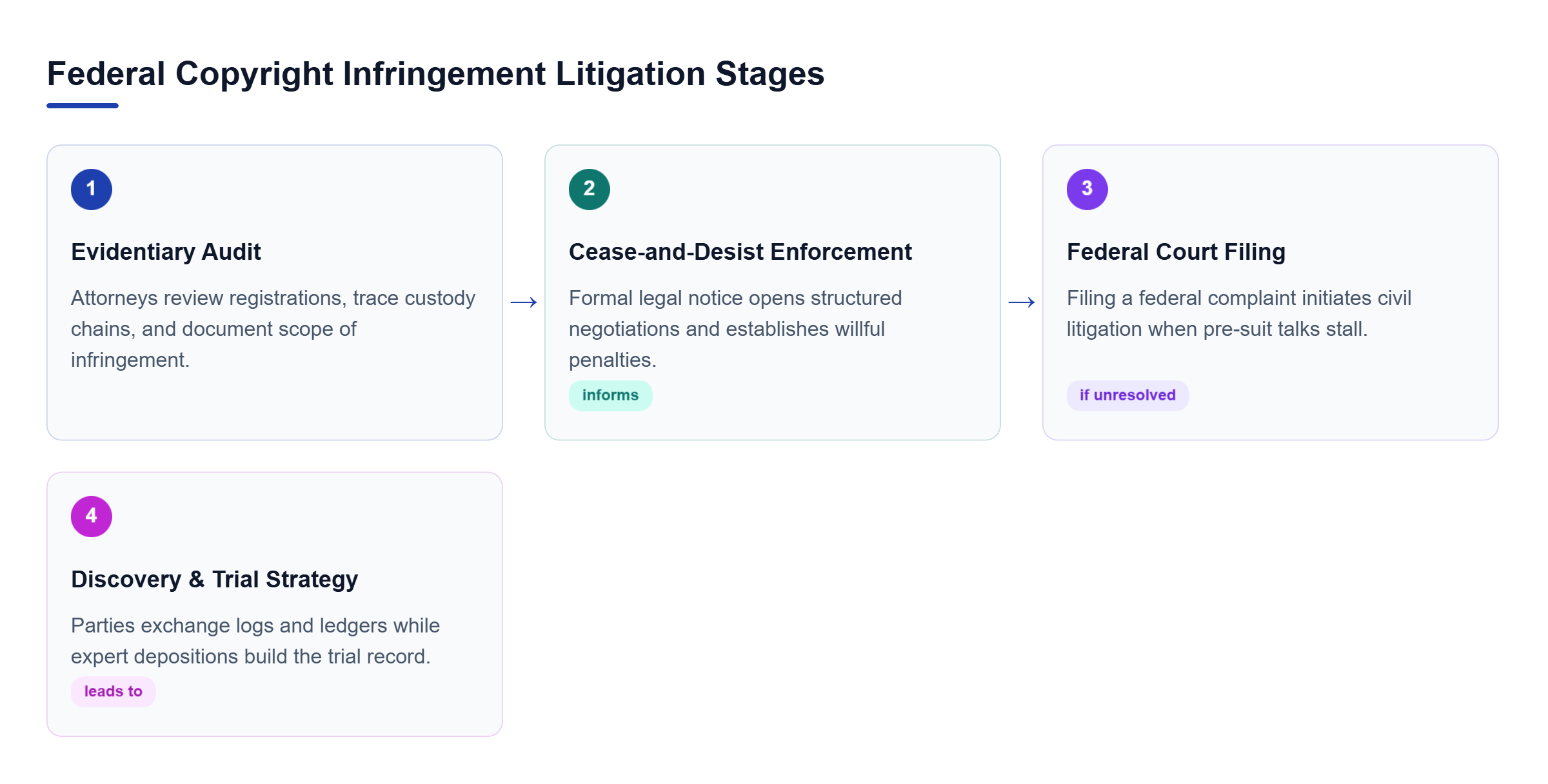 Diagram: Process flow chart showing evidentiary audit, cease-and-desist, federal complaint filing, and discovery with depositions.