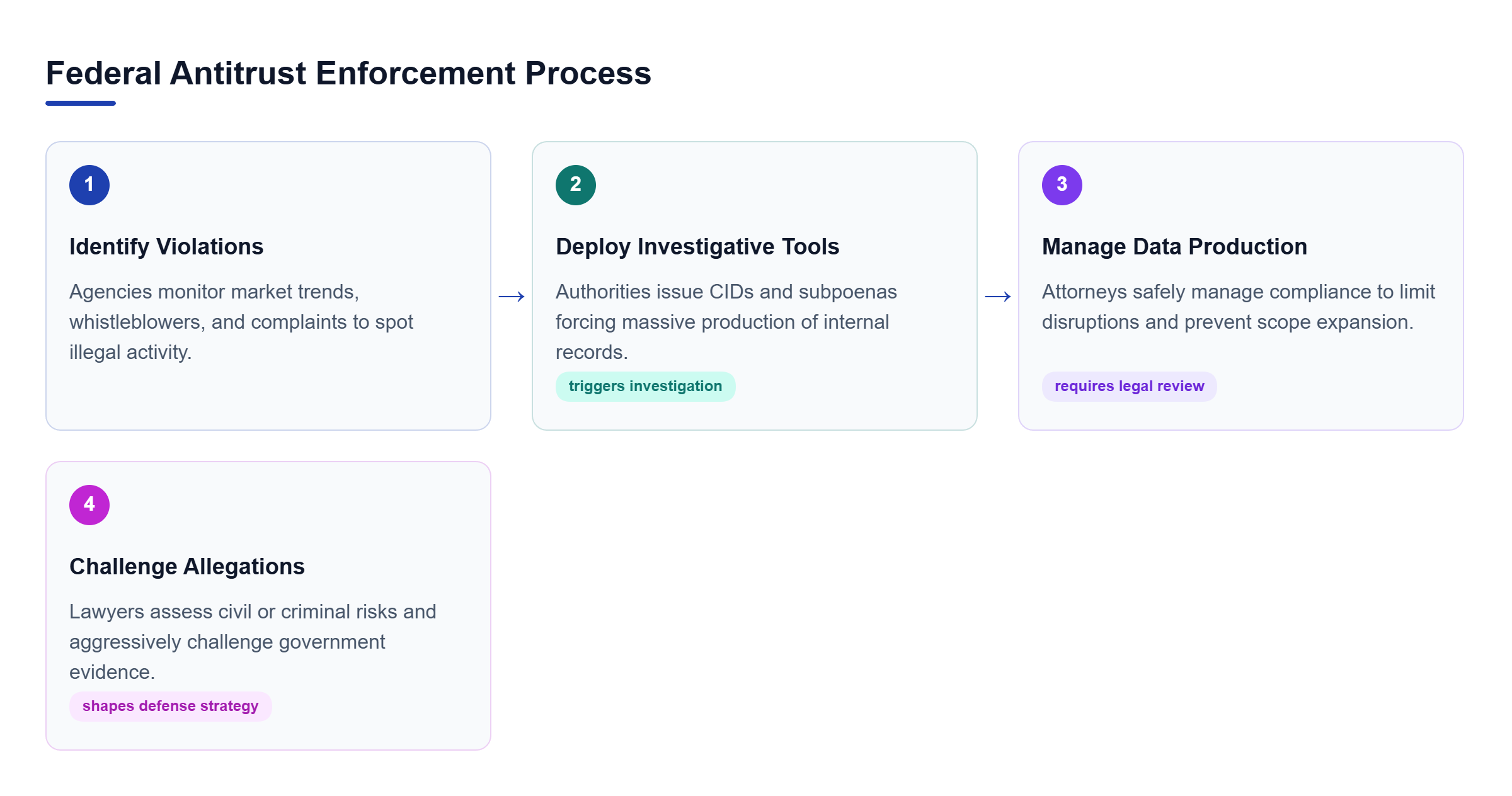 Diagram: A four-step process flow from identifying violations and deploying investigative tools to managing data production and challenging allegations.