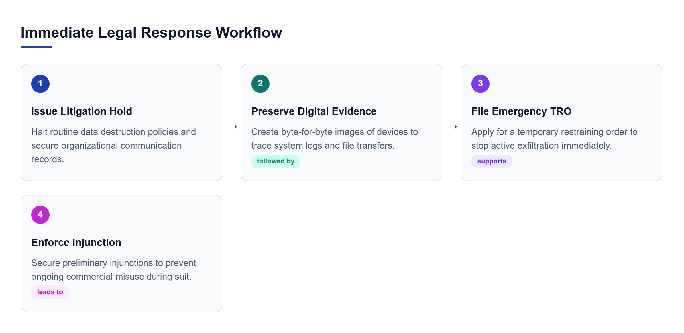 Diagram: Process flow outlining legal hold issuance, forensic preservation, TRO filing, and injunction enforcement.