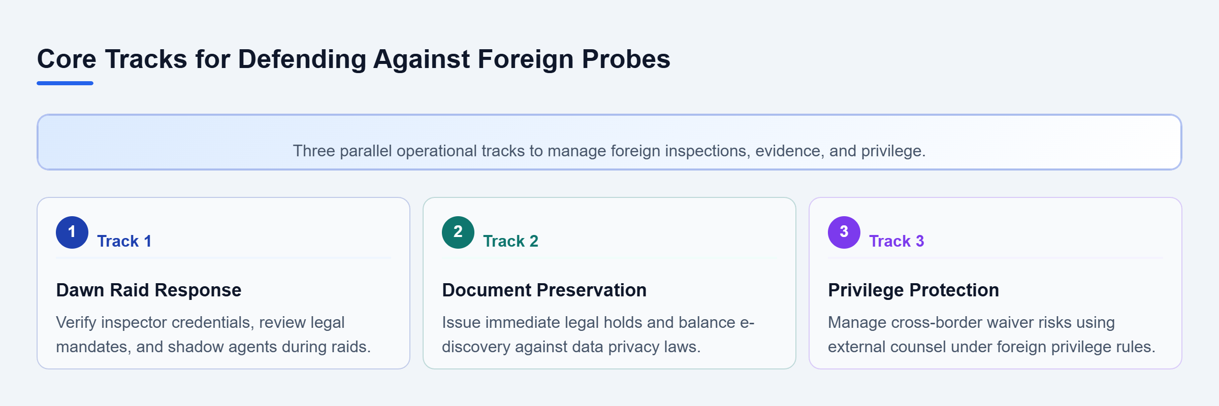 Diagram: Diagram outlining three defense tracks: Dawn Raid Response, Document Preservation, and Privilege Protection.