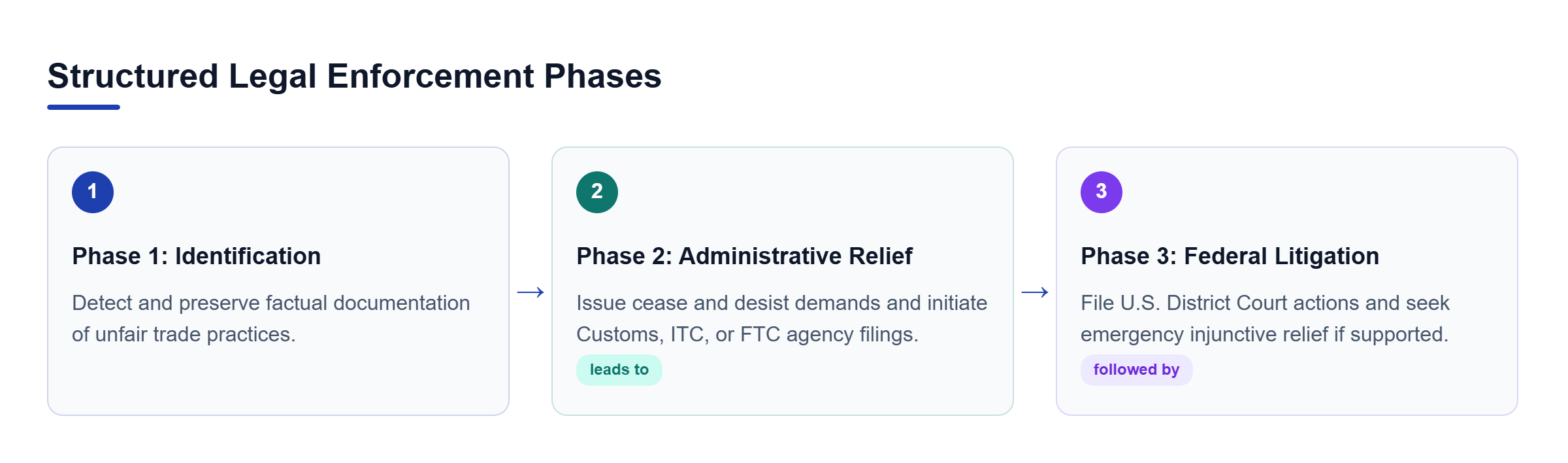 Diagram: Process flow outlining three enforcement phases: Misconduct Identification leads to Administrative Relief, followed by Federal Litigation.