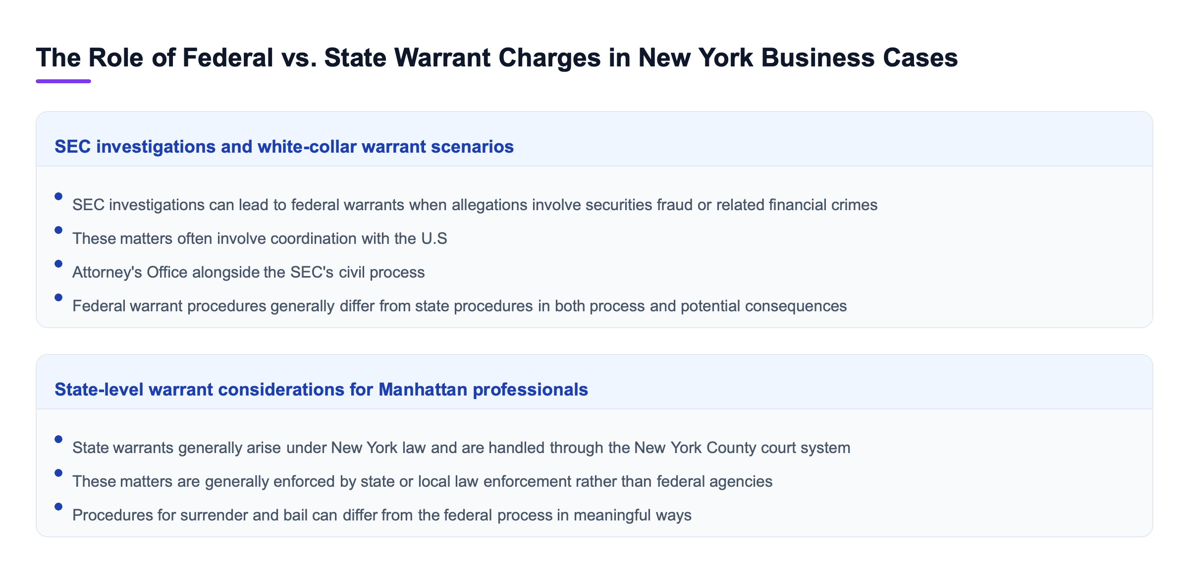 Diagram: The Role of Federal vs. State Warrant Charges in New York Business Cases