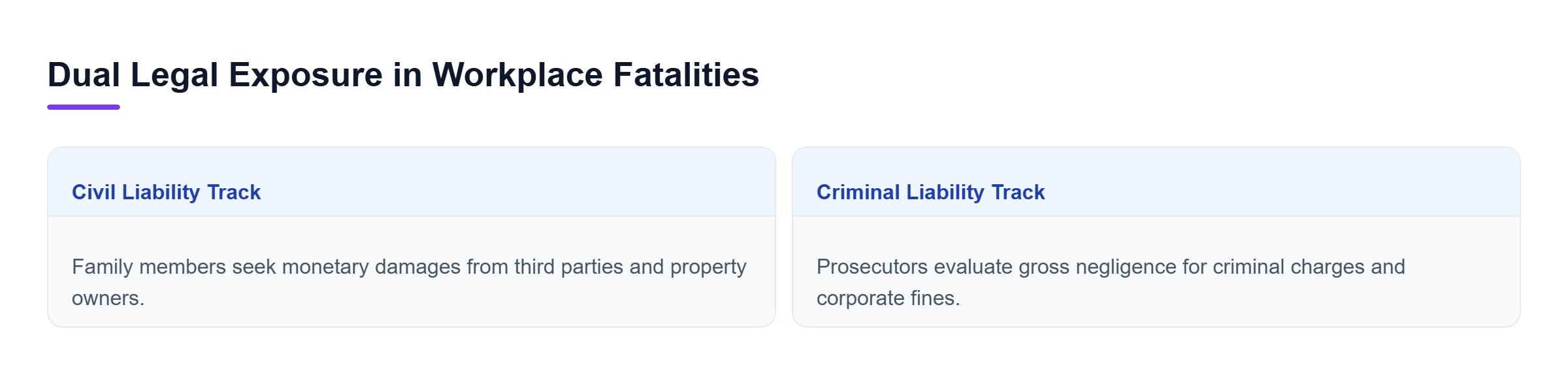 Diagram: Comparison between civil liability for financial damages and criminal liability for gross negligence.