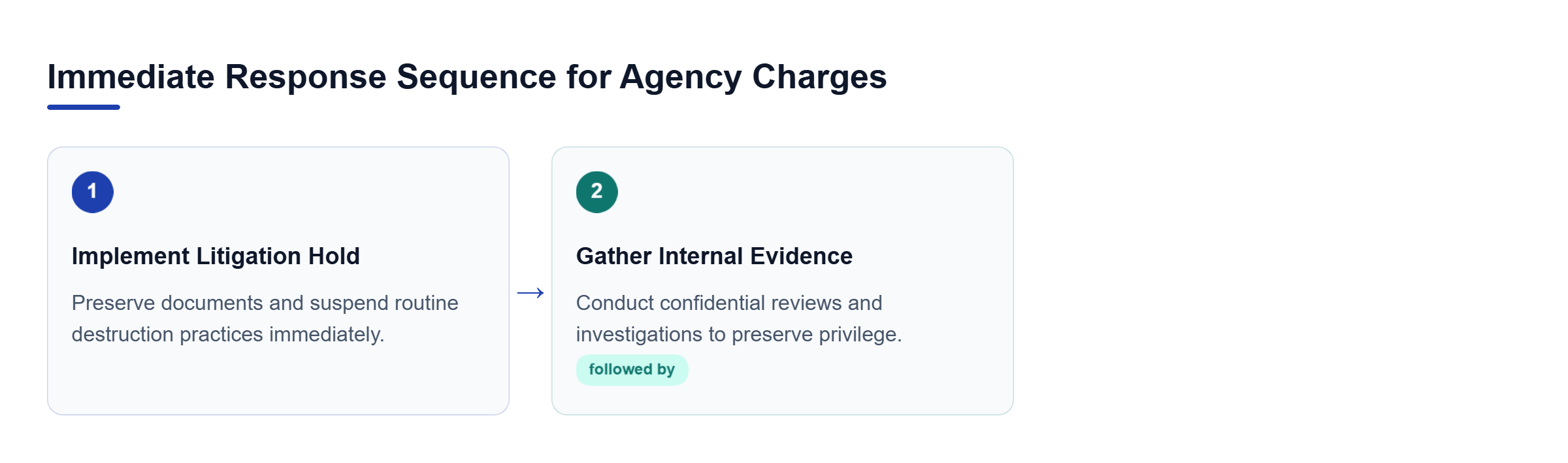 Diagram: Process flow outlining a litigation hold followed by internal evidence gathering and privileged reviews.