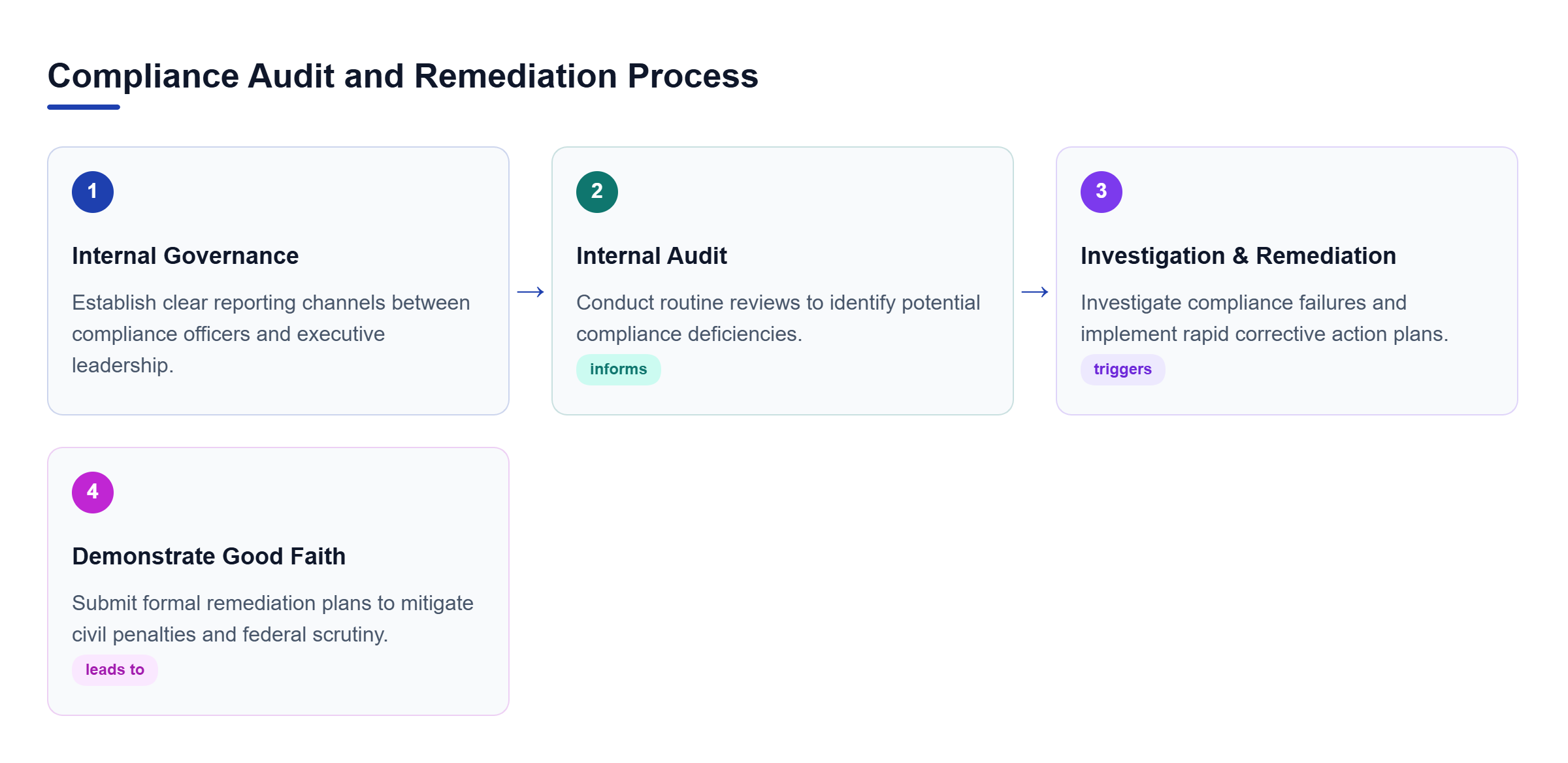 Diagram: Flowchart showing Internal Governance, Internal Audit, Investigation and Remediation, and Demonstrate Good Faith.