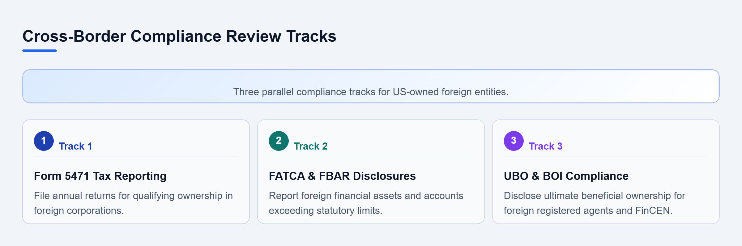 Diagram: Parallel checklist showing tax reporting, FATCA and FBAR accounts, and beneficial ownership disclosure tracks.