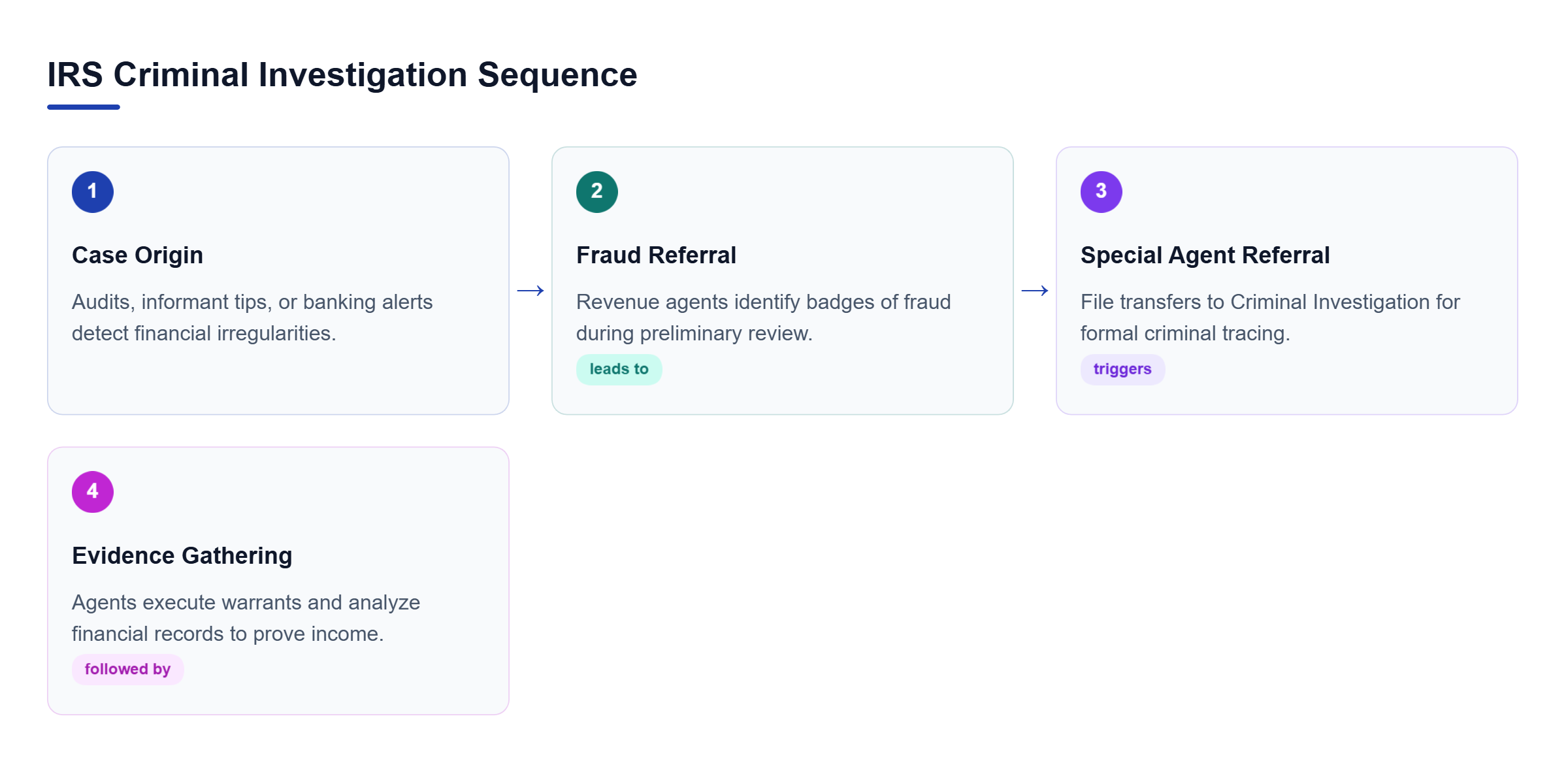 Diagram: Horizontal process flow showing Case Origin leading to Fraud Referral, Special Agent Referral, and Evidence Gathering.