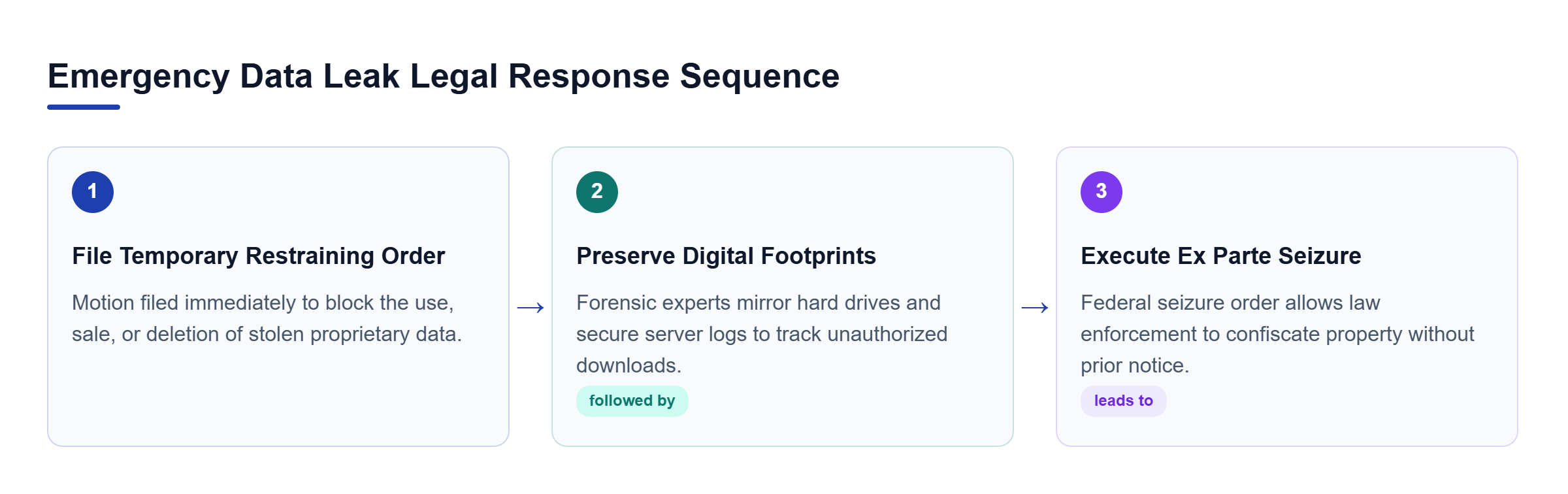 Diagram: Process flowchart showing the three sequential phases: filing a temporary restraining order, conducting forensic data preservation, and executing ex parte evidence seizure.