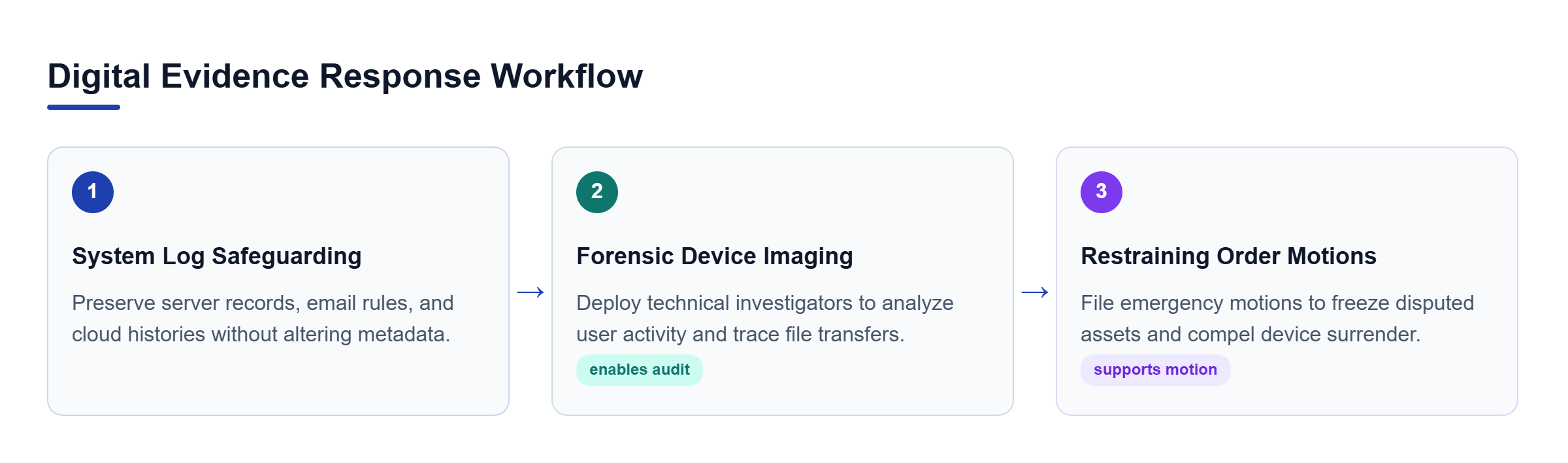 Diagram: Horizontal process flow detailing evidence preservation, forensic device analysis, and emergency restraining order motions.