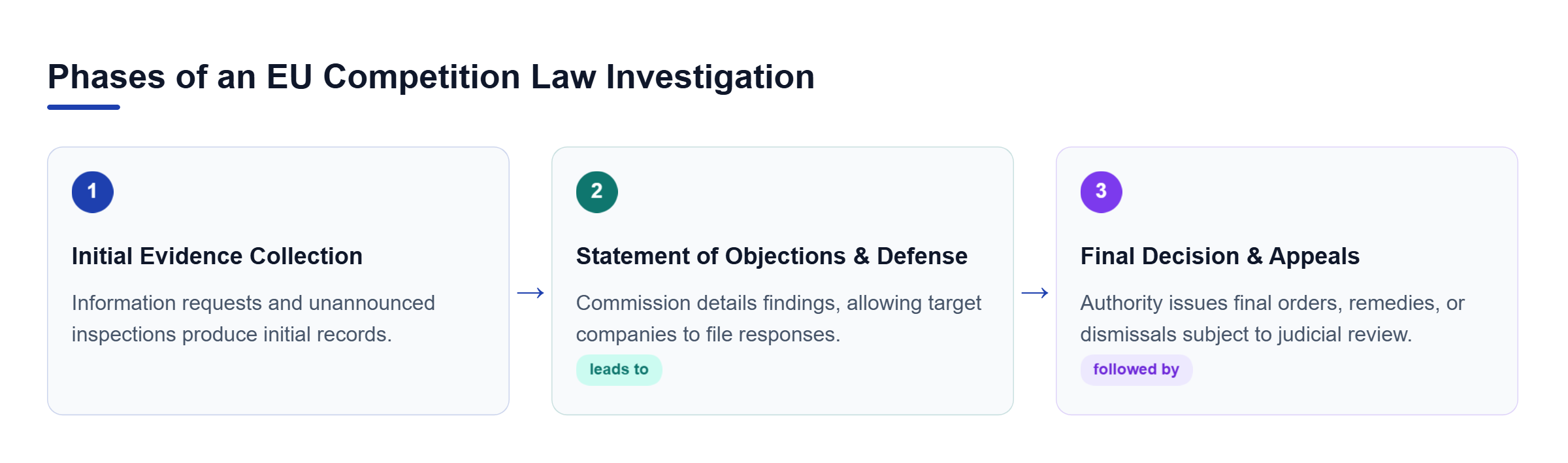 Diagram: Horizontal process flow showing initial evidence collection, statement of objections defense, and final decisions or judicial appeals.