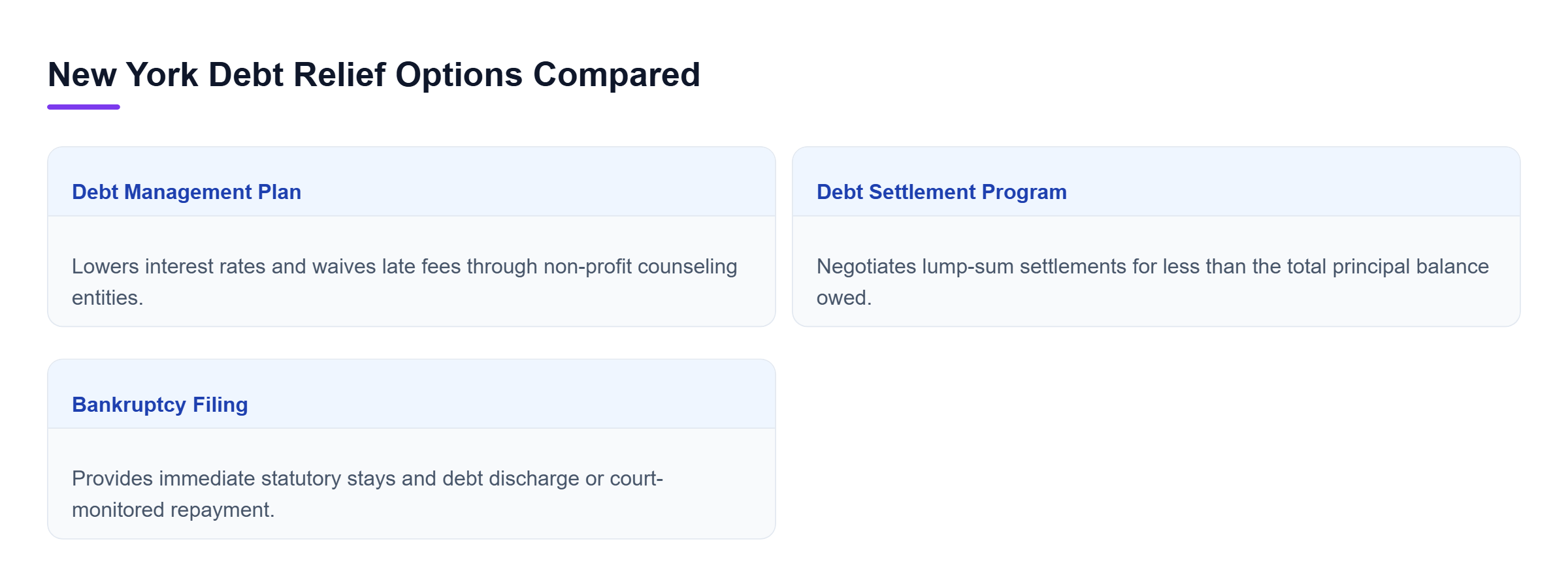 Diagram: Comparison of debt management plans, debt settlement programs, and bankruptcy options in New York.