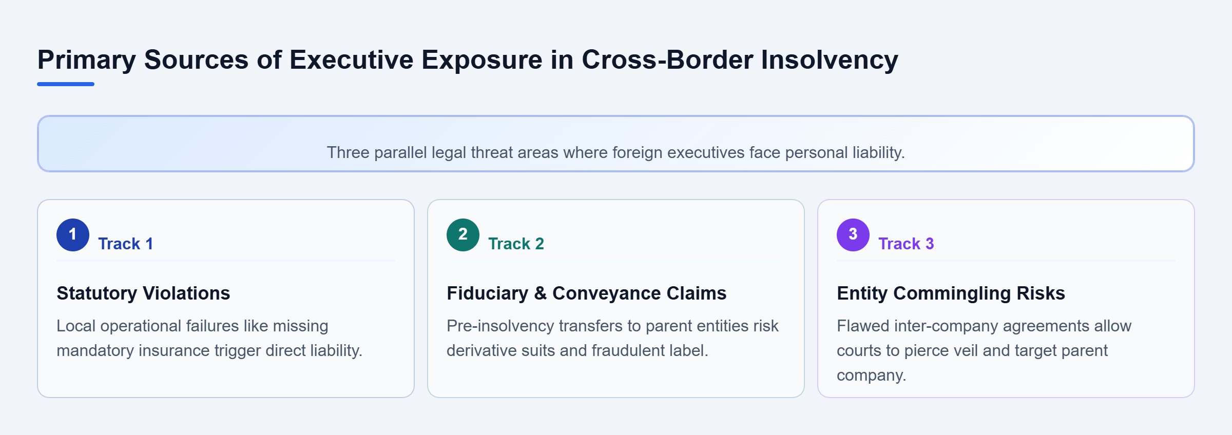 Diagram: Parallel review tracks showing statutory violations, fiduciary claims, and corporate structure risks faced by foreign executives.
