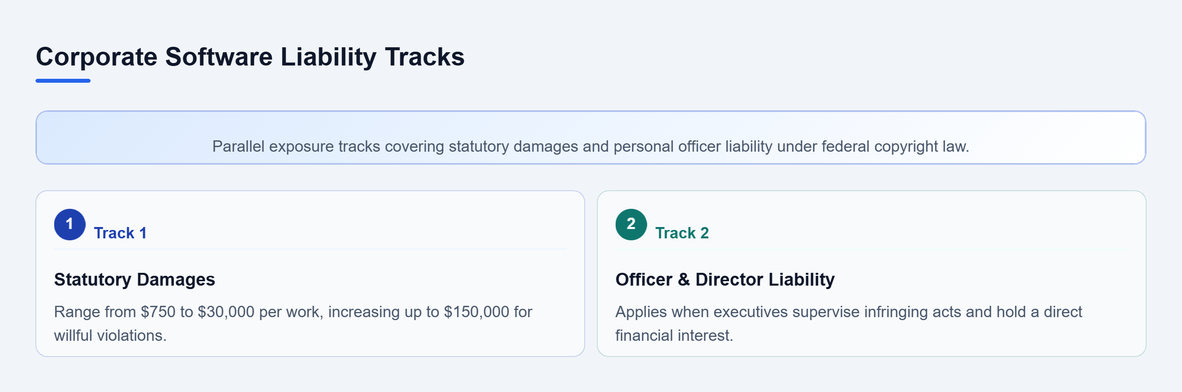 Diagram: Checklist showing two parallel software infringement liability tracks: statutory monetary damages and direct officer personal liability.