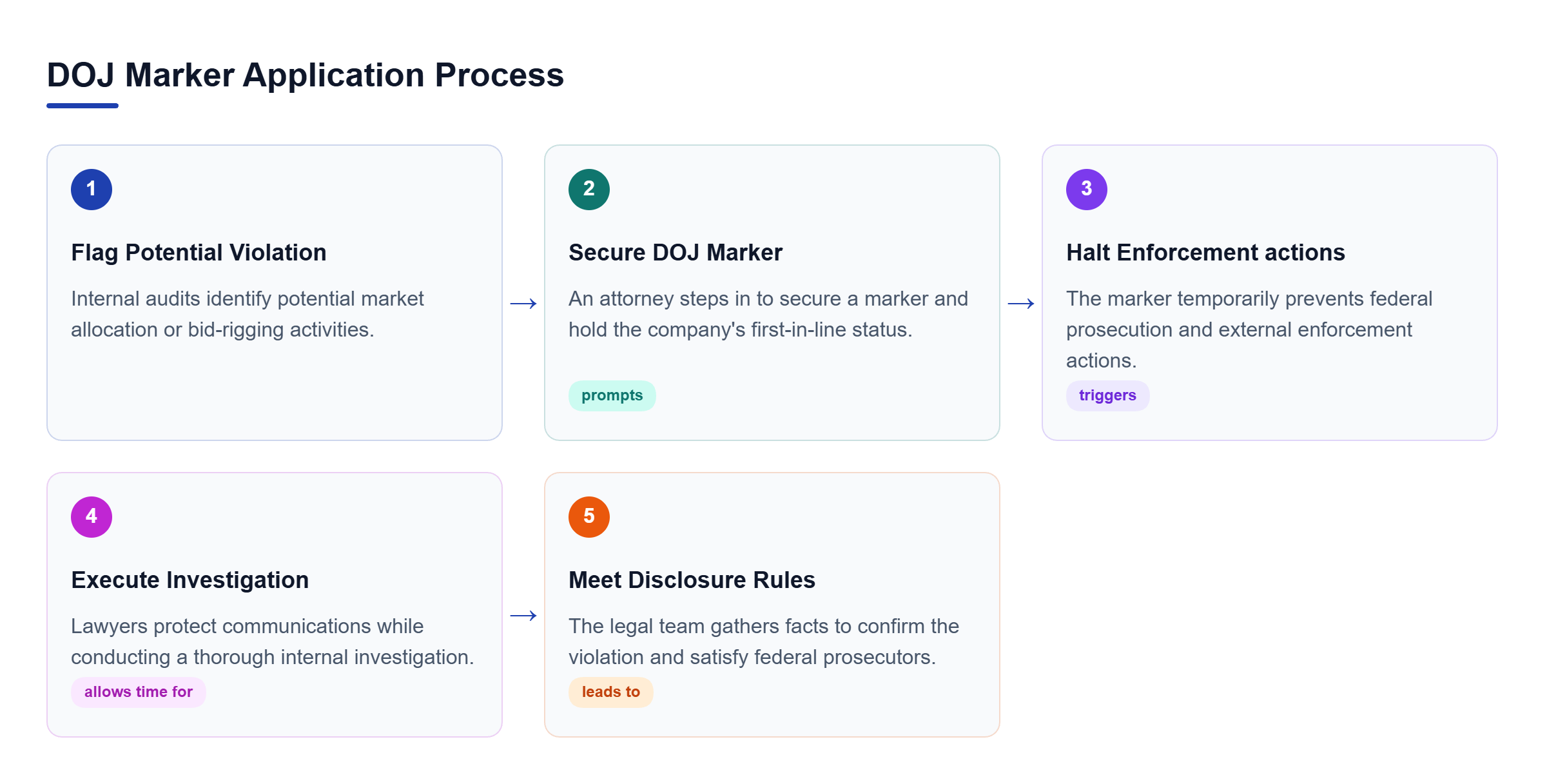 Diagram: Process flow showing audit flagging, securing a marker, halting enforcement, investigating, and disclosing facts.