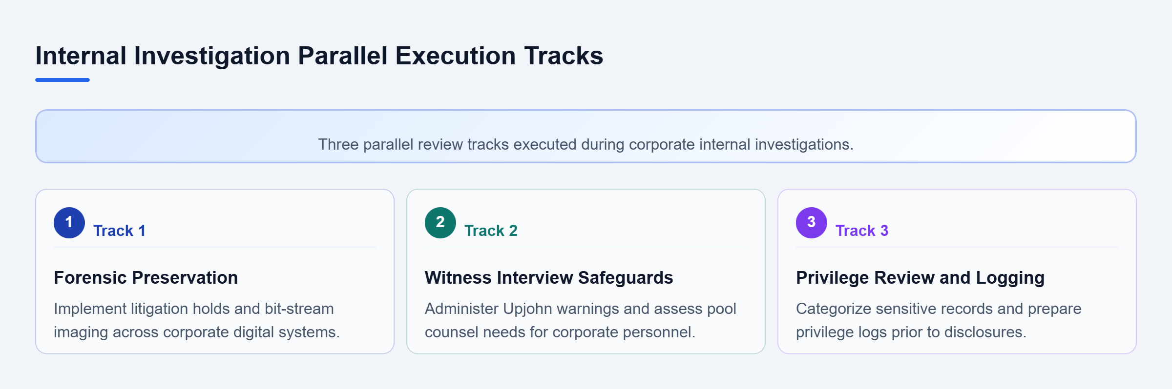 Diagram: Diagram showing three parallel tracks for evidence preservation, executive interviews, and privilege log preparation.