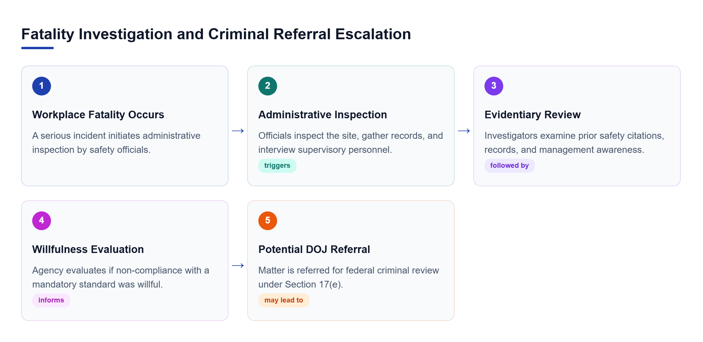 Diagram: Process flow outlining initial workplace inspection, record review, evaluation of willful violations, and potential DOJ referral.