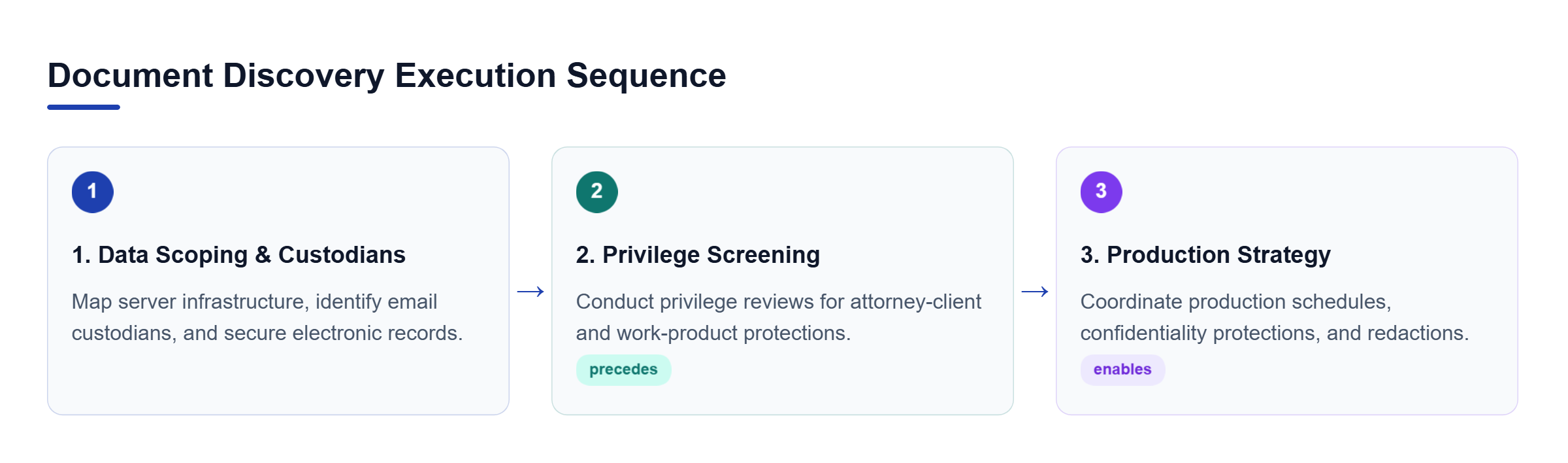 Diagram: Sequential process flow showing data scoping, privilege screening, and production strategy phases.