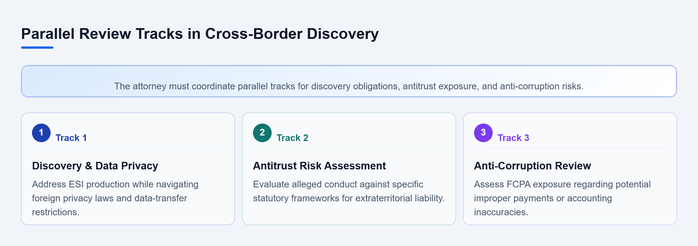 Diagram: A vertical checklist showing three parallel review tracks for cross-border cases: Discovery and Data Privacy, Antitrust Risk Assessment, and Anti-Corruption Review.