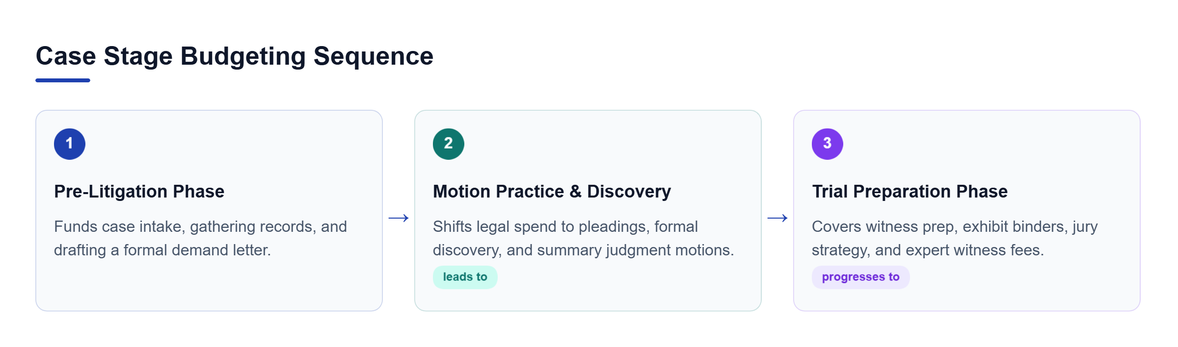 Diagram: A sequential workflow showing pre-litigation investigation leading to motion practice and discovery, ending in trial preparation.