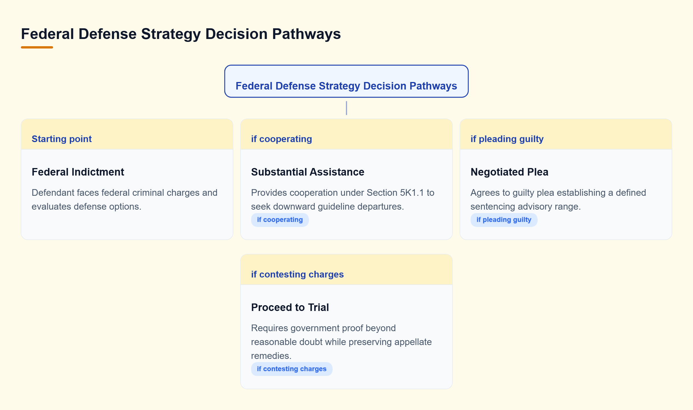 Diagram: Decision tree mapping federal defense options from indictment through cooperation, plea negotiation, or trial.