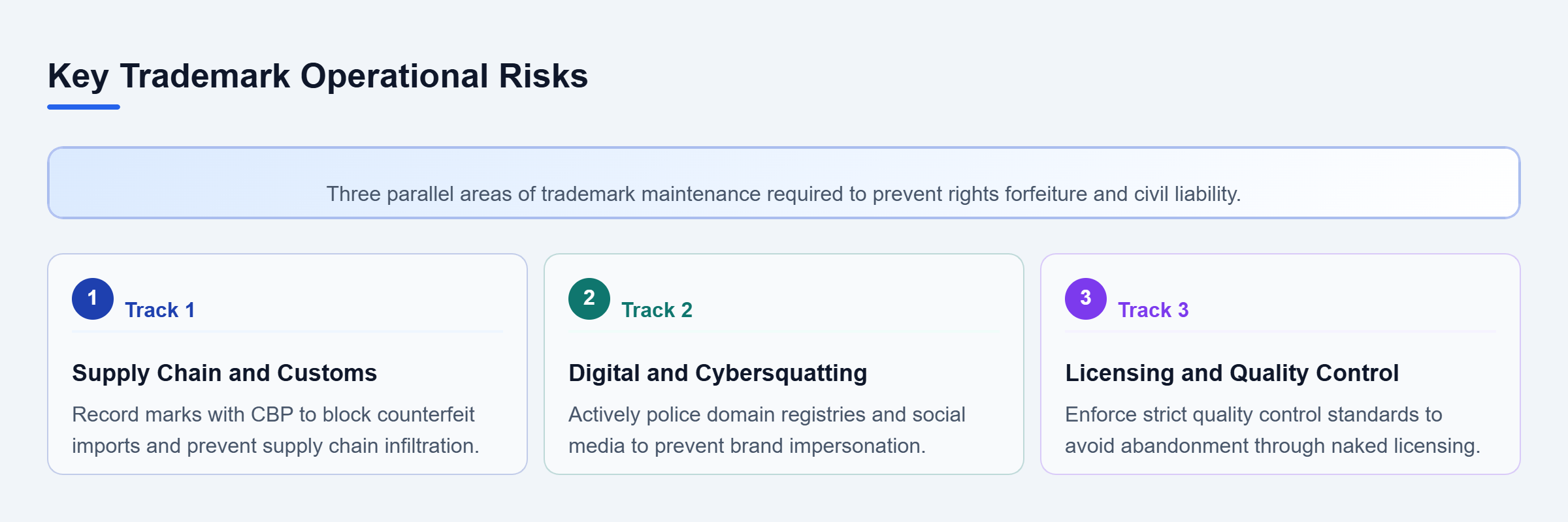 Diagram: Diagram showing three parallel operational risk areas: Supply Chain, Digital Platforms, and Licensing Compliance.