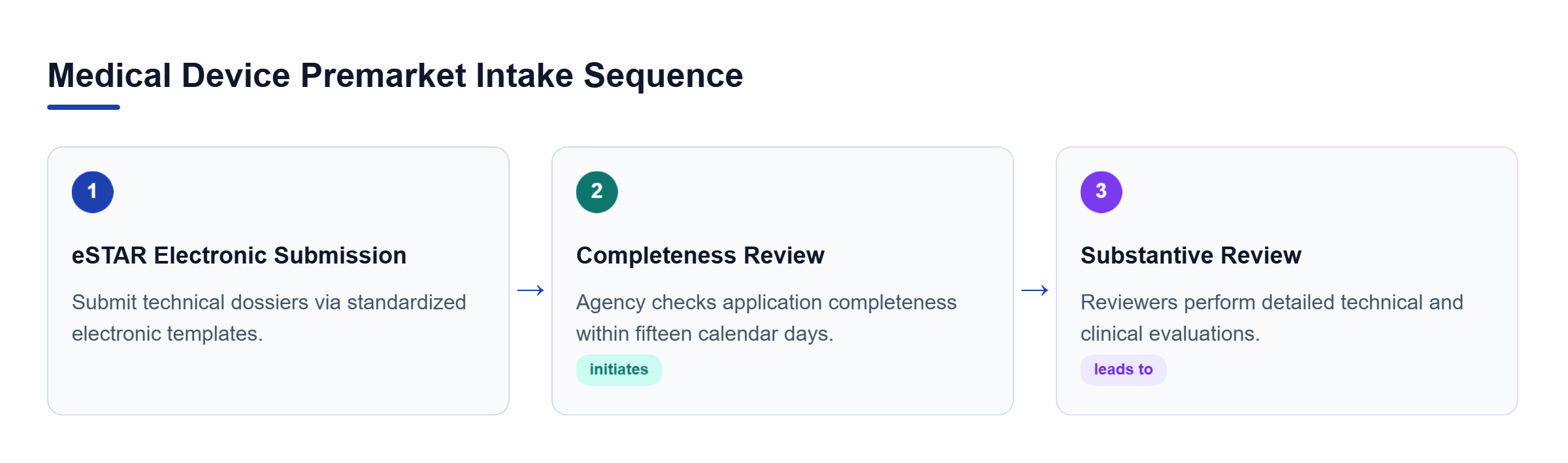 Diagram: Process flow outlining electronic submission, acceptance review, and substantive agency examination.