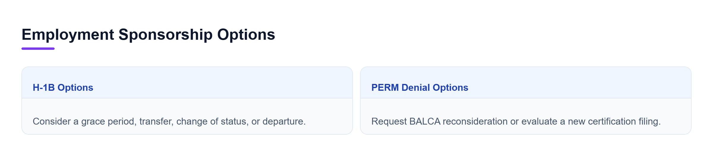 Diagram: Comparison of options after H-1B termination and PERM labor certification denial.