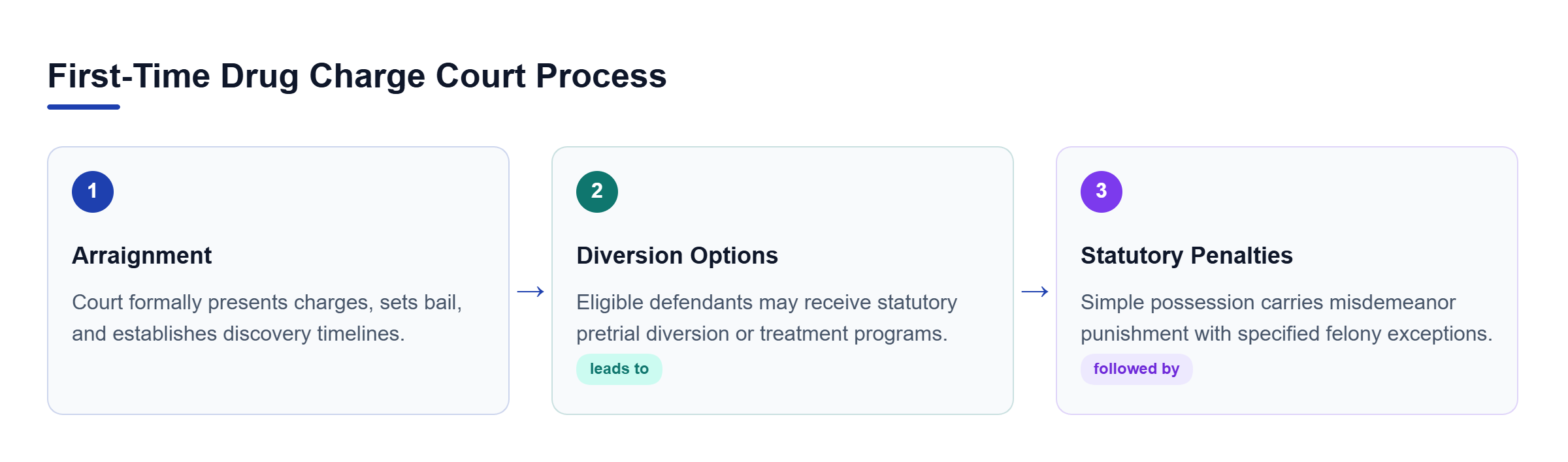 Diagram: Linear process flow showing court arraignment leading to diversion evaluation and final penalty determinations.