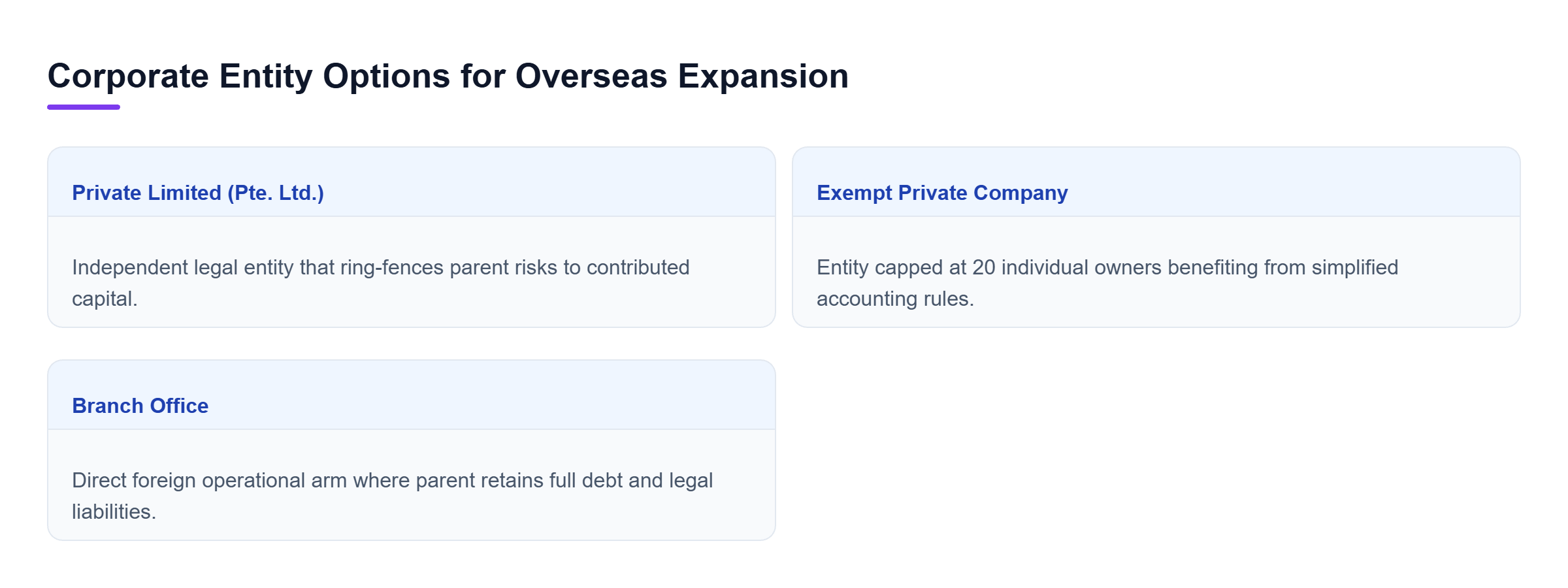 Diagram: Comparison of Private Limited Company, Exempt Private Company, and Branch Office showing parent liability and statutory requirements.