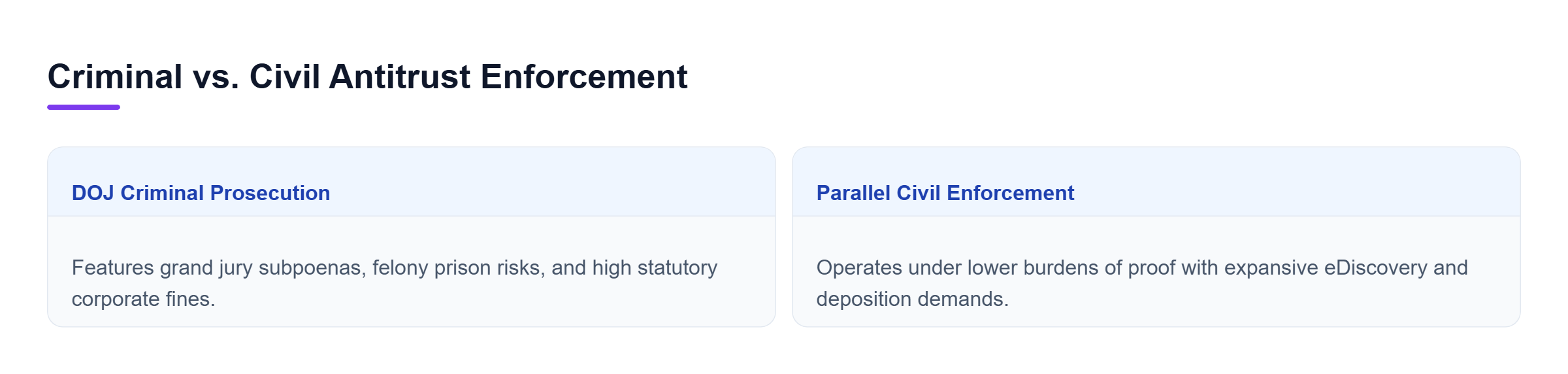 Diagram: Comparison chart contrasting DOJ criminal cartel prosecution against parallel civil enforcement.