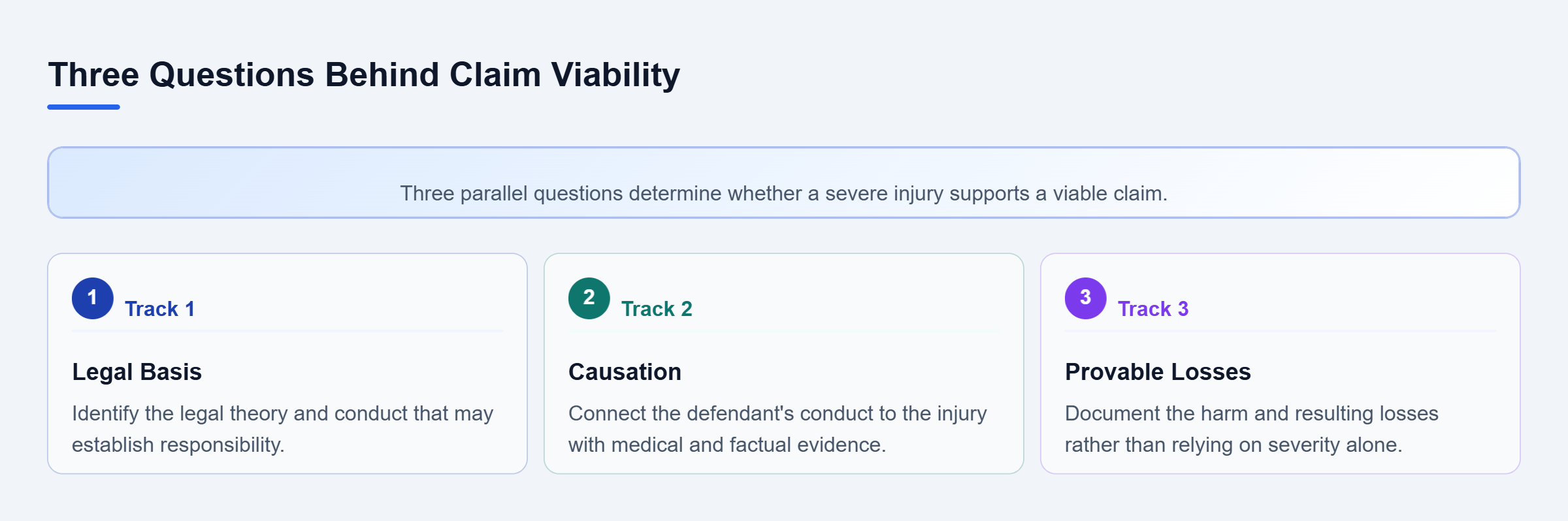 Diagram: Three parallel review tracks for a severe injury claim: legal responsibility, causation linking conduct to harm, and evidence of resulting losses.