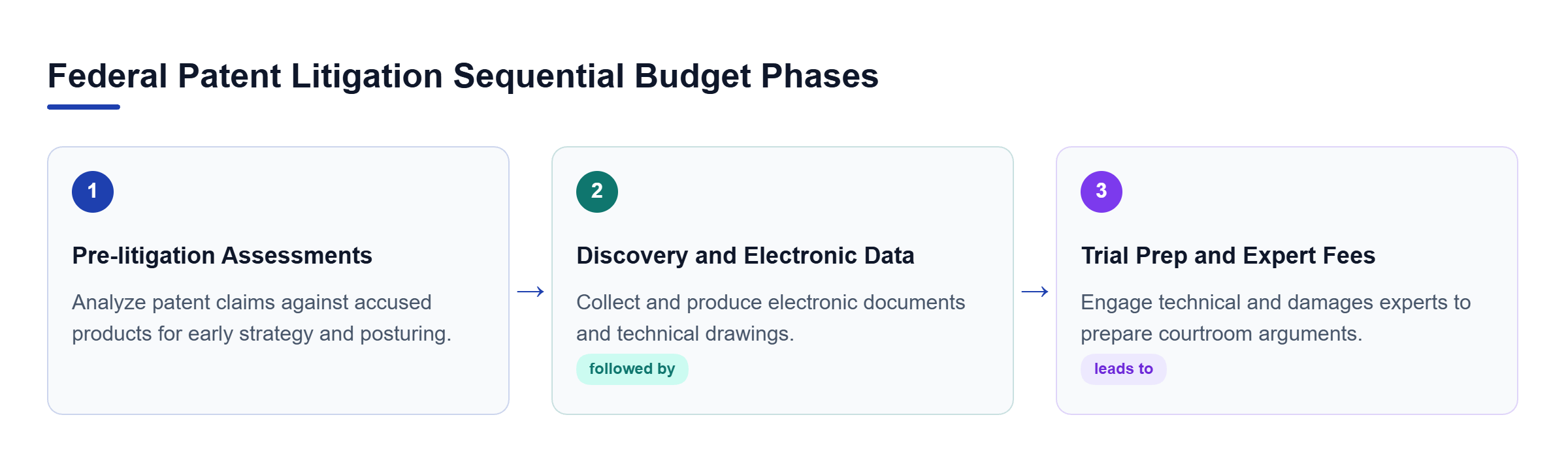 Diagram: Linear process flow showing progression from Pre-litigation Assessments to Discovery and Electronic Data, ending in Trial Preparation and Expert Fees.