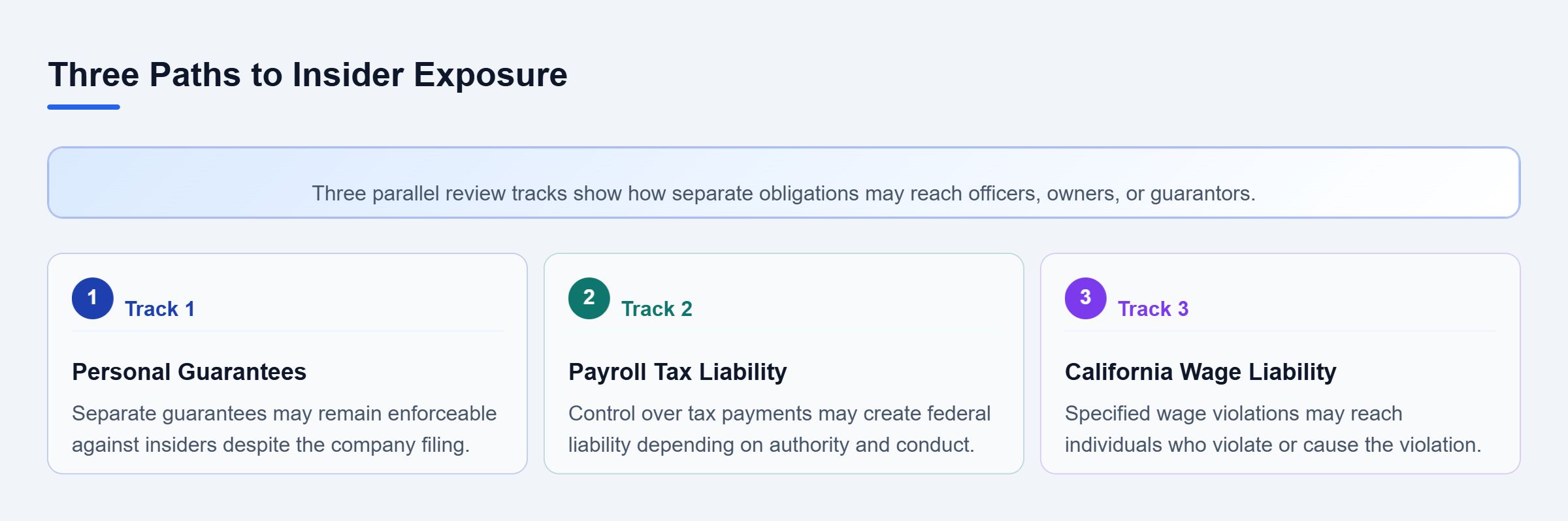 Diagram: Three parallel tracks show personal guarantees, payroll-tax responsibility, and specified wage violations as distinct sources of insider exposure.