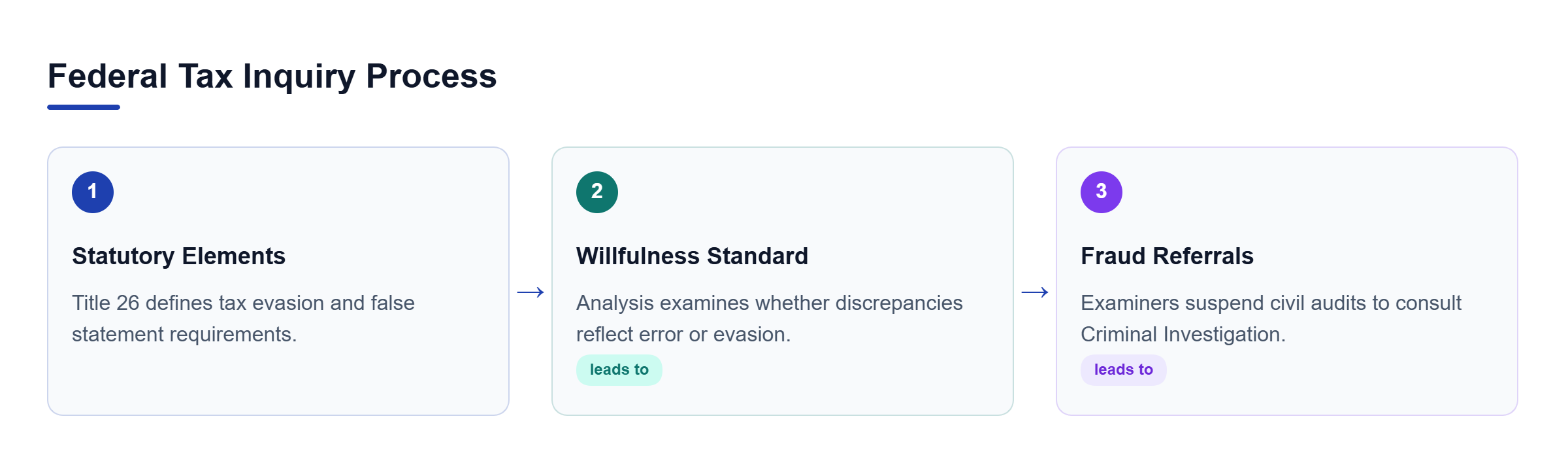 Diagram: Process flow illustrating statutory elements, willfulness standards, and fraud referrals.