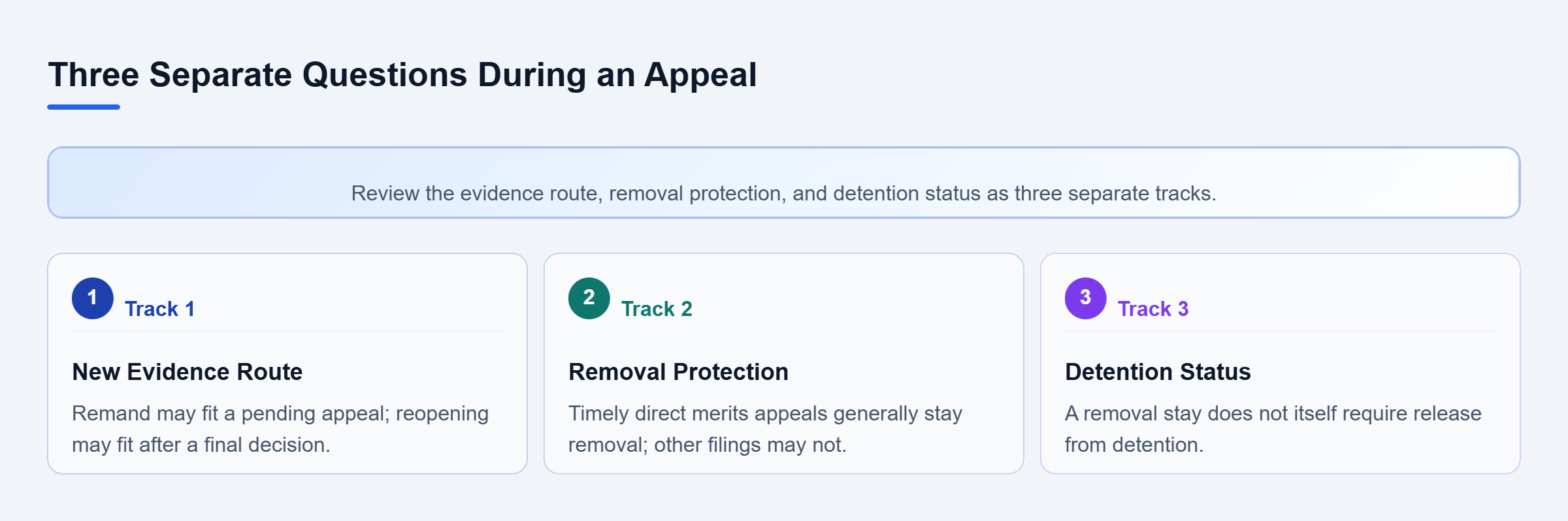 Diagram: New evidence may require remand or reopening; removal stays depend on the filing and do not themselves require release from detention.
