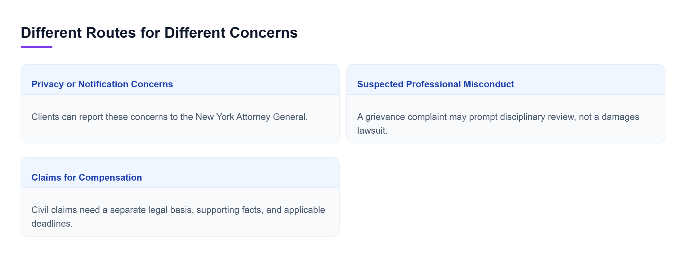 Diagram: Three separate routes compare privacy reporting, attorney discipline, and civil claims, each with a different purpose.