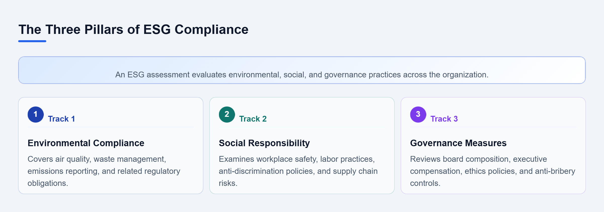 Diagram: Vertical checklist displaying the three review tracks: Environmental, Social, and Governance.