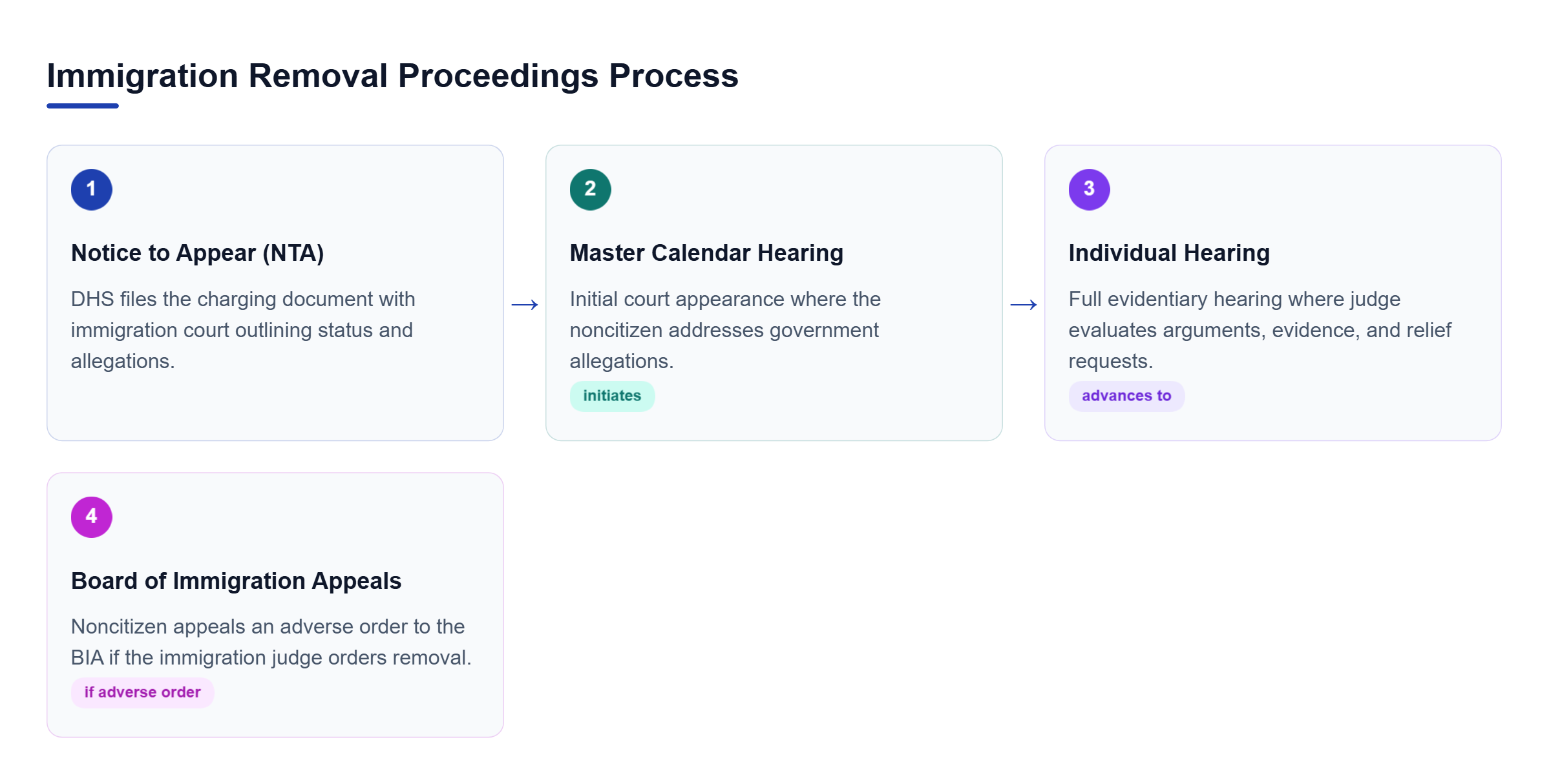 Diagram: Process flow showing removal proceedings starting with NTA filing, proceeding through hearings, and culminating in potential BIA appeal.