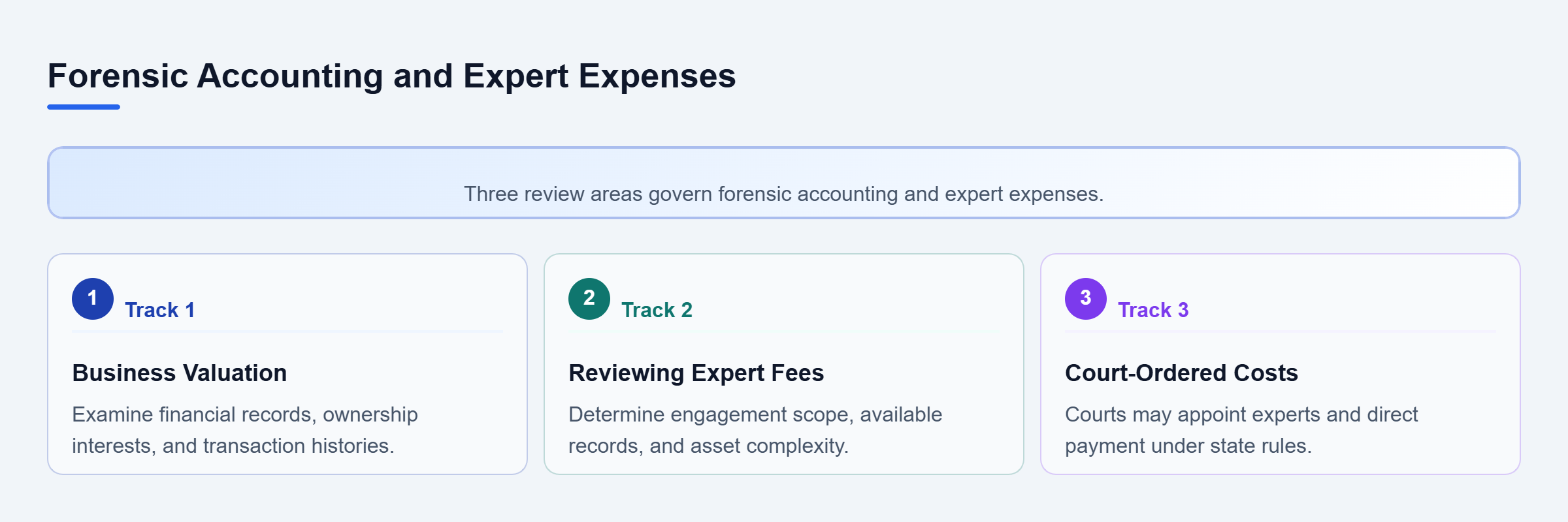 Diagram: Three parallel areas covering business valuation, expert fee reviews, and court-appointed expert costs.