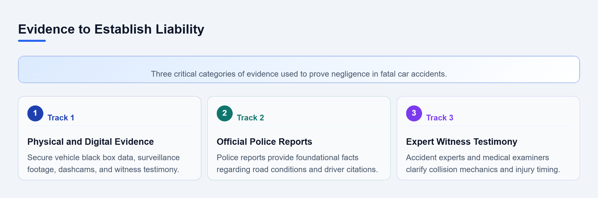 Diagram: A vertical checklist detailing physical evidence, official police reports, and expert witness testimony.
