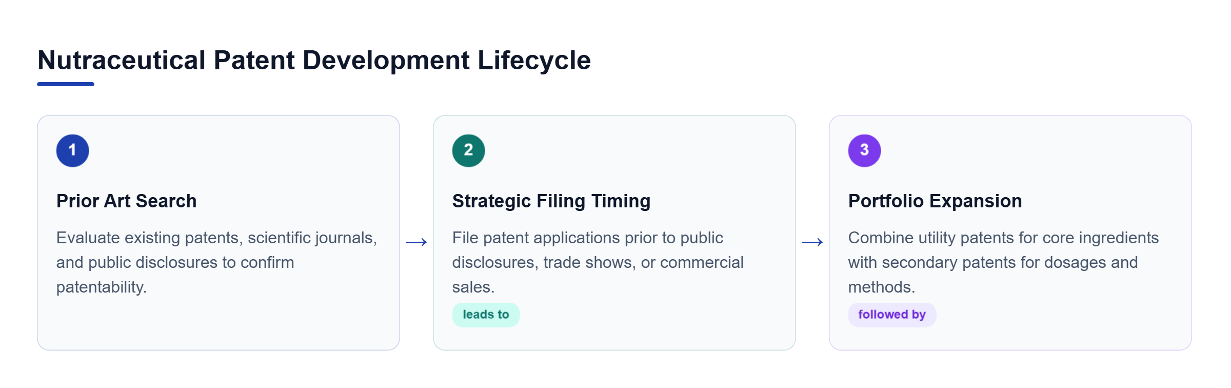 Diagram: A horizontal process flow showing prior art searches, strategic filing timing before public disclosures, and building a comprehensive patent portfolio.