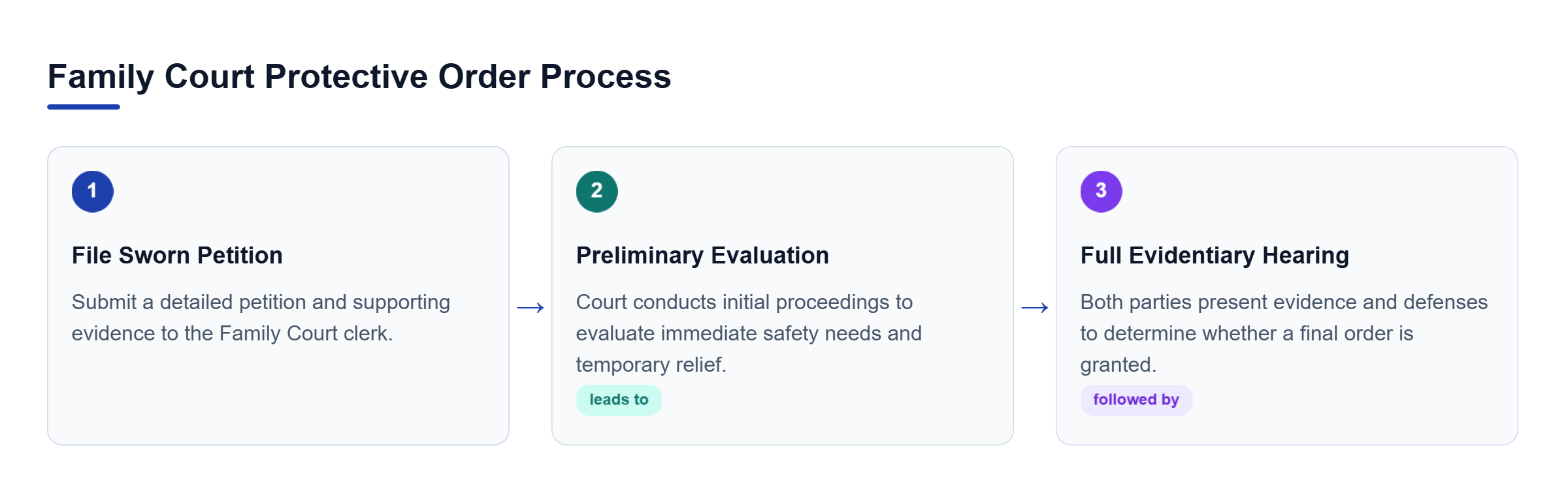 Diagram: A horizontal process flow showing petition filing with evidence, preliminary court evaluation for immediate safety, and a full evidentiary hearing.