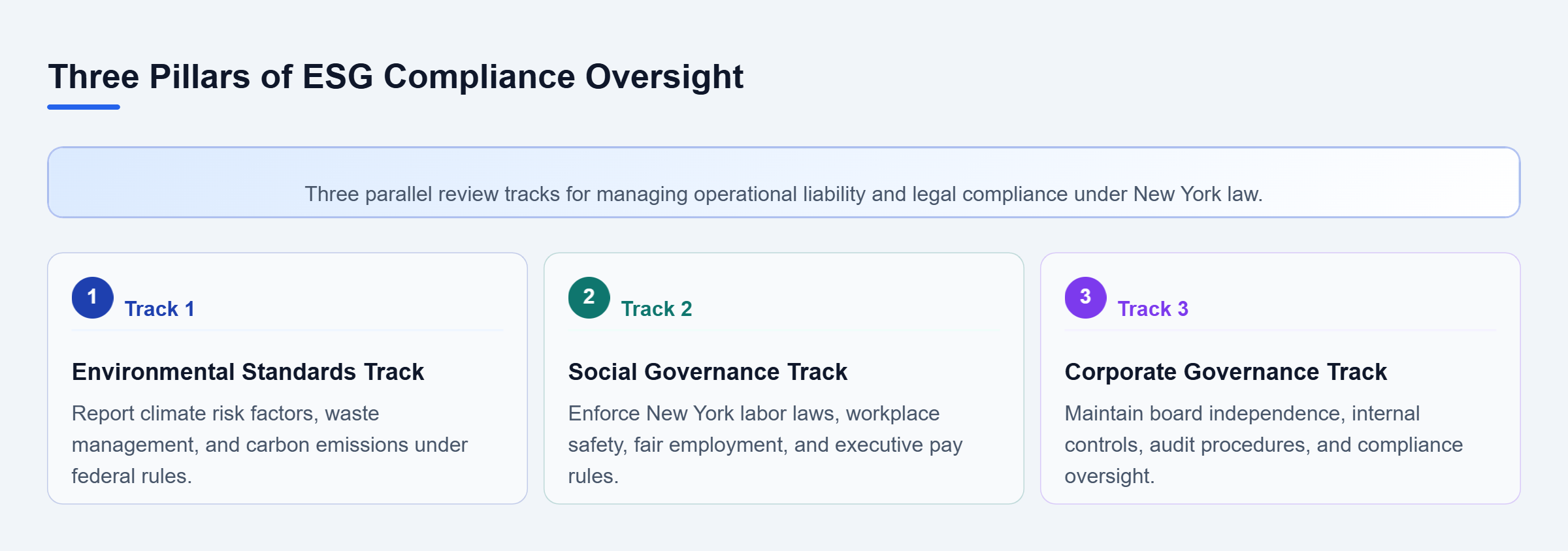 Diagram: Parallel review framework showing Environmental Standards, Social Governance, and Corporate Governance compliance tracks.