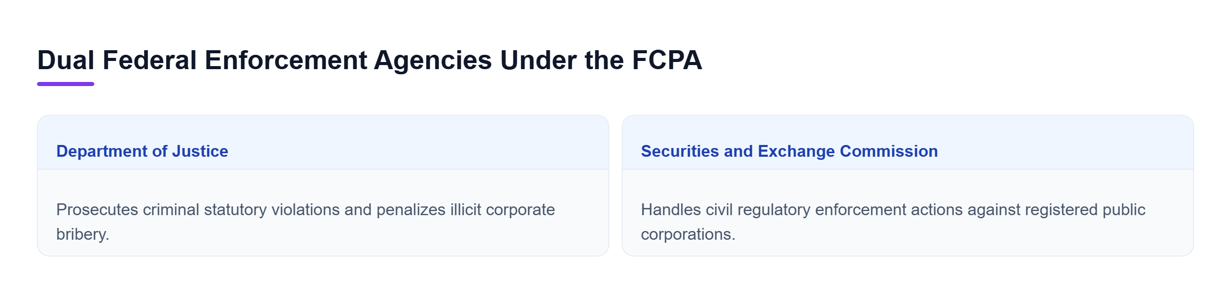 Diagram: Comparison showing DOJ criminal enforcement of statutory violations versus SEC civil enforcement against public corporations.