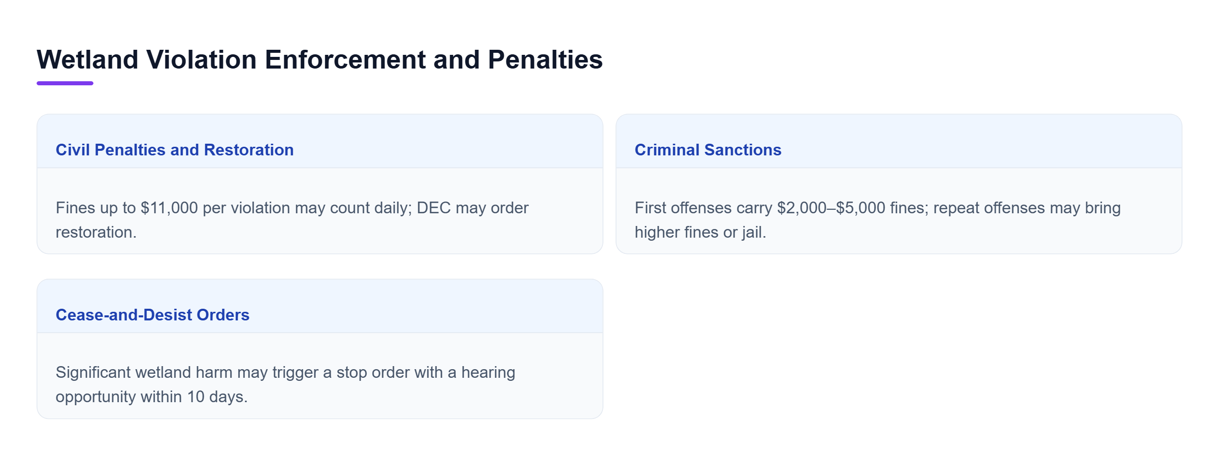 Diagram: Comparison of three wetland enforcement measures: civil fines and restoration, criminal fines or imprisonment, and cease-and-desist orders with expedited hearing rights.