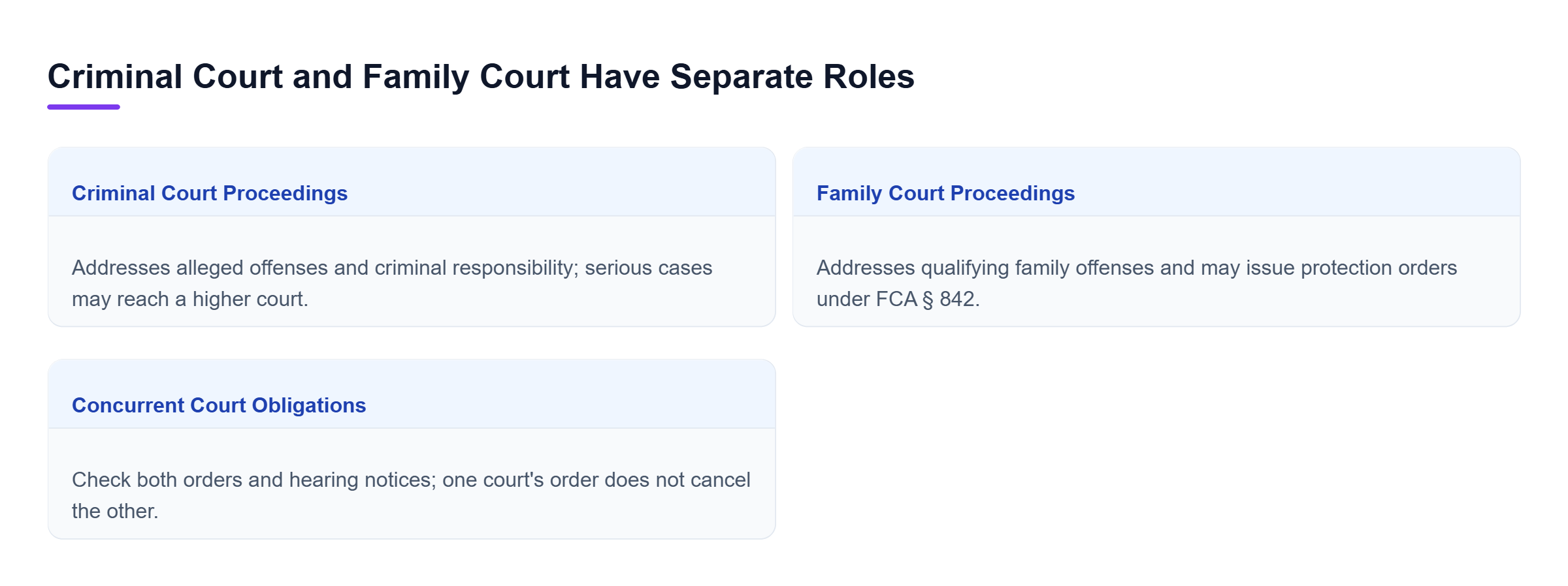 Diagram: Criminal Court addresses alleged offenses and criminal responsibility, while Family Court addresses qualifying family offenses and protective relief; separate orders may remain effective.