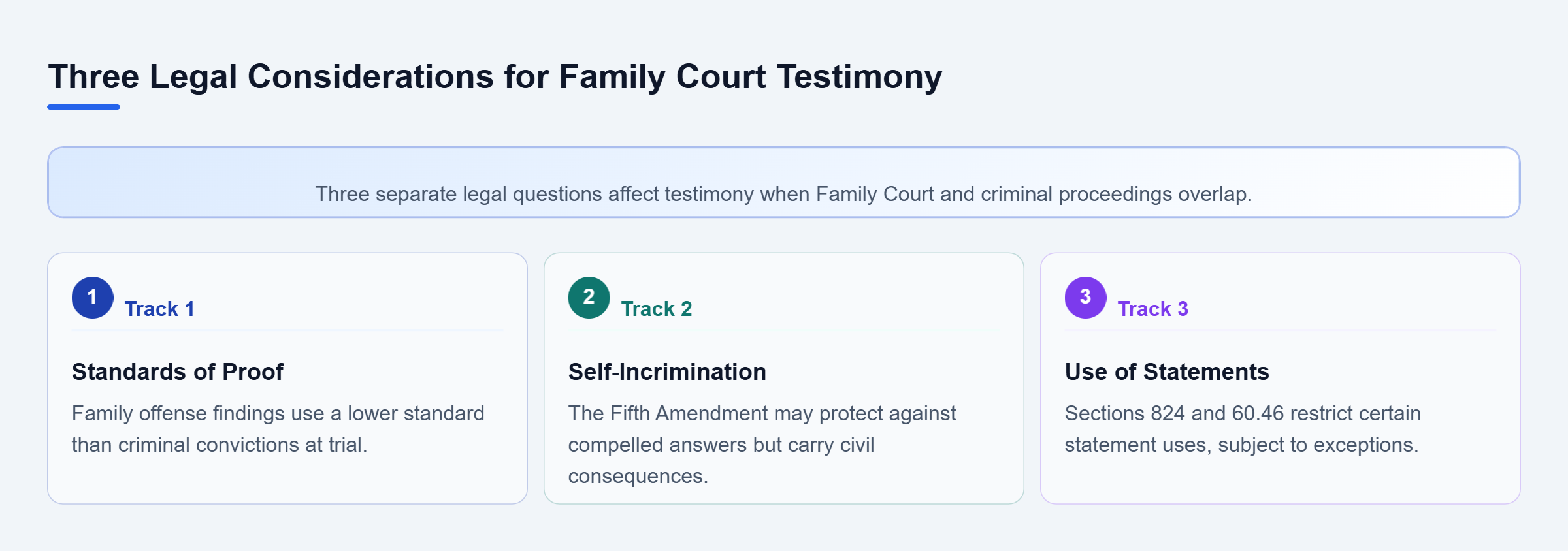 Diagram: Three parallel considerations cover different proof standards, Fifth Amendment protections, and New York statutory limits on using Family Court statements.