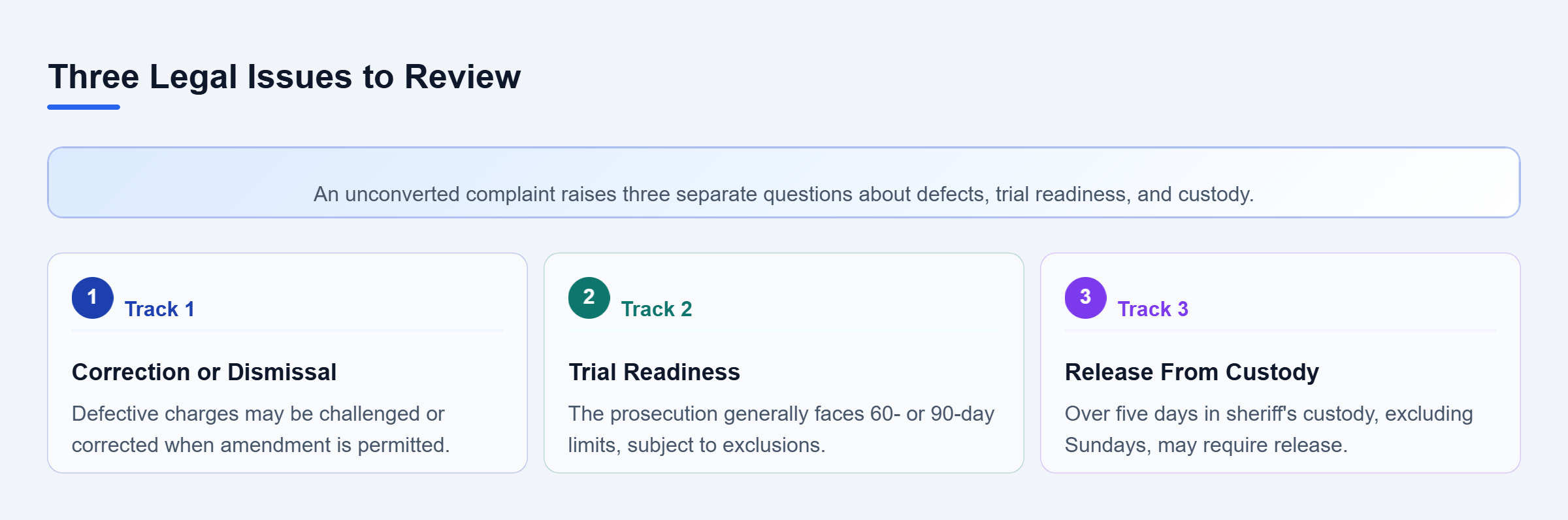Diagram: Three parallel review areas: correcting or dismissing defective charges, checking prosecution readiness deadlines, and assessing eligibility for release from custody.