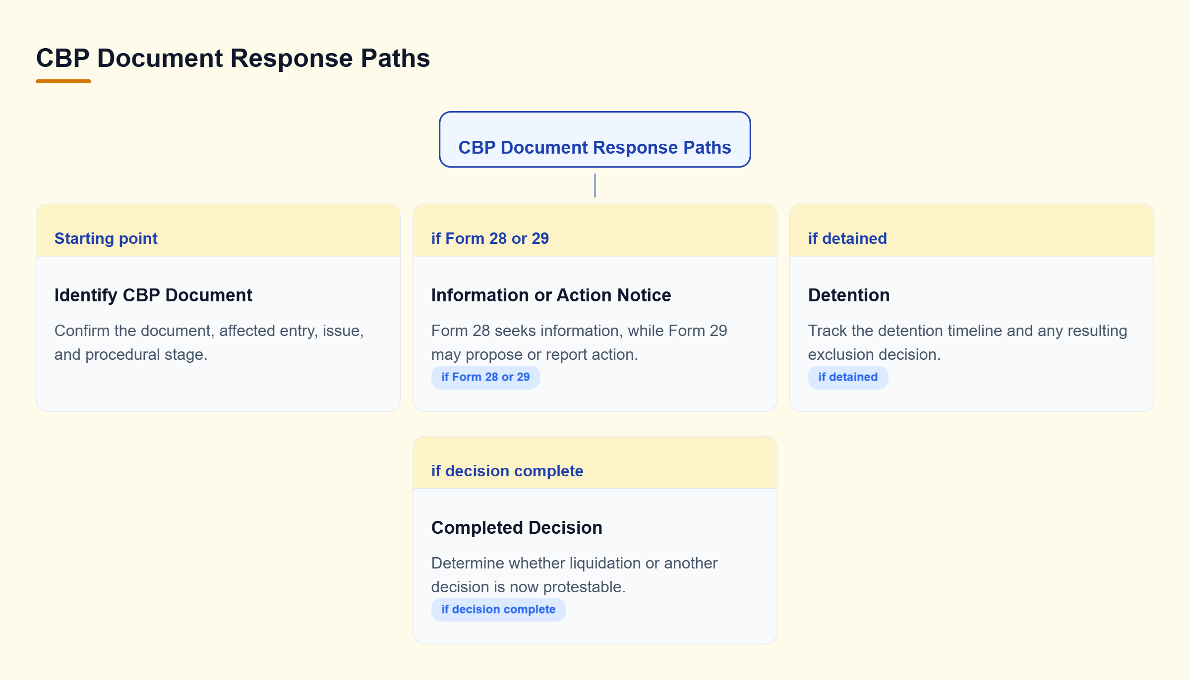Diagram: A compact decision tree separates information requests, detention issues, and completed CBP decisions into distinct response paths.